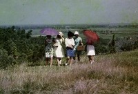 1950至2006年臺灣常民生活藏品圖，第1張