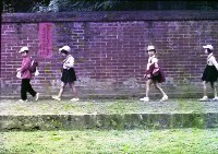 1950至2006年臺灣常民生活藏品圖，第1張