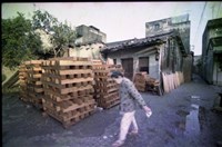 1950至2006年臺灣常民生活藏品圖，第1張