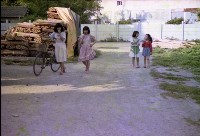 1950至2006年臺灣常民生活藏品圖，第1張