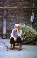 1950至2006年臺灣常民生活藏品圖，第1張