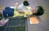 1950至2006年臺灣常民生活藏品圖，第1張