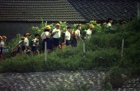 1950至2006年臺灣常民生活藏品圖，第1張