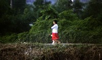 1950至2006年臺灣常民生活藏品圖，第1張