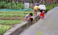 1950至2006年臺灣常民生活藏品圖，第1張