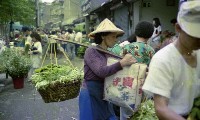 1950至2006年臺灣常民生活藏品圖，第1張