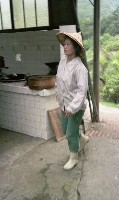1950至2006年臺灣常民生活藏品圖，第1張