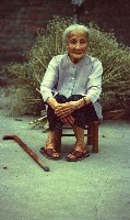 1950至2006年臺灣常民生活藏品圖，第1張