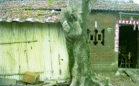 1950至2006年臺灣常民生活藏品圖，第1張