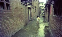 1950至2006年臺灣常民生活藏品圖，第1張