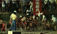 1950至2006年臺灣常民生活藏品圖，第1張
