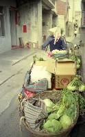 1950至2006年臺灣常民生活藏品圖，第1張