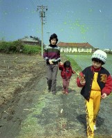 1950至2006年臺灣常民生活藏品圖，第1張