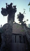 1950至2006年臺灣常民生活藏品圖，第1張