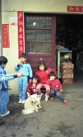 1950至2006年臺灣常民生活藏品圖，第1張