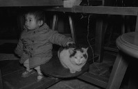 1950至2006年臺灣常民生活藏品圖，第1張
