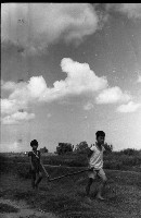 1950至2006年臺灣常民生活藏品圖，第1張