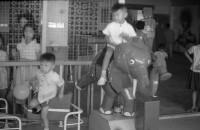 1950至2006年臺灣常民生活藏品圖，第1張
