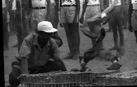 1950至2006年臺灣常民生活藏品圖，第1張