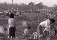 1950至2006年臺灣常民生活藏品圖，第1張