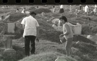 1950至2006年臺灣常民生活藏品圖，第1張