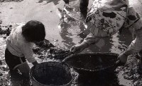 1950至2006年臺灣常民生活藏品圖，第1張