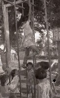1950至2006年臺灣常民生活藏品圖，第1張