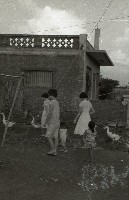 1950至2006年臺灣常民生活藏品圖，第1張
