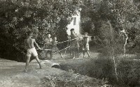 1950至2006年臺灣常民生活藏品圖，第1張