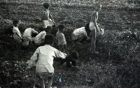 1950至2006年臺灣常民生活藏品圖，第1張
