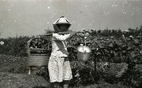1950至2006年臺灣常民生活 藏品圖，第1張