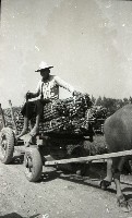 1950至2006年臺灣常民生活 藏品圖，第1張