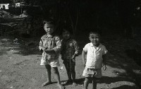 1950至2006年臺灣常民生活 藏品圖，第1張