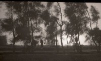 1950至2006年臺灣常民生活 藏品圖，第1張