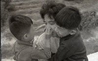 1950至2006年臺灣常民生活 藏品圖，第1張