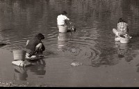 1950至2006年臺灣常民生活 藏品圖，第1張
