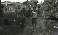 1950至2006年臺灣常民生活 藏品圖，第1張