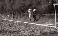 1950至2006年臺灣常民生活 藏品圖，第1張