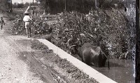 1950至2006年臺灣常民生活 藏品圖，第1張