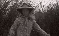 1950至2006年臺灣常民生活 藏品圖，第1張