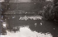 1950至2006年臺灣常民生活 藏品圖，第1張