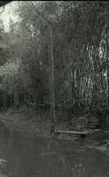 1950至2006年臺灣常民生活 藏品圖，第1張