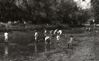 1950至2006年臺灣常民生活 藏品圖，第1張
