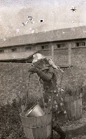 1950至2006年臺灣常民生活 藏品圖，第1張