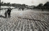 1950至2006年臺灣常民生活 藏品圖，第1張