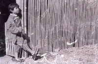 1950至2006年臺灣常民生活藏品圖，第1張