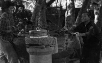 1950至2006年臺灣常民生活藏品圖，第1張