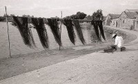 1950至2006年臺灣常民生活藏品圖，第1張