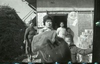 1950至2006年臺灣常民生活藏品圖，第1張