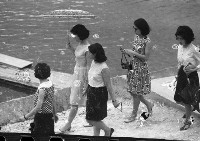 1950至2006年臺灣常民生活藏品圖，第1張